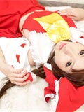 [Cosplay] 2013.05.12 Touhou Proyect New Cosplay 5(40)